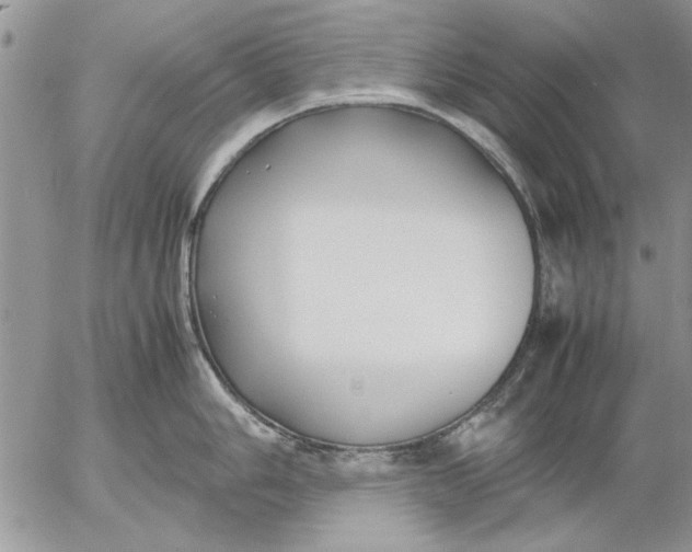 X0000053011006200507291703