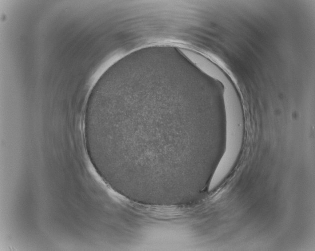 X0000053011007200507291703