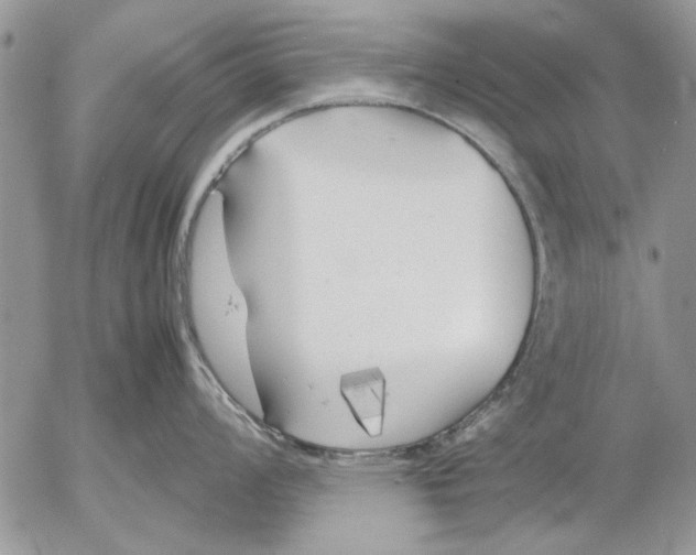 X0000053011008200507291703