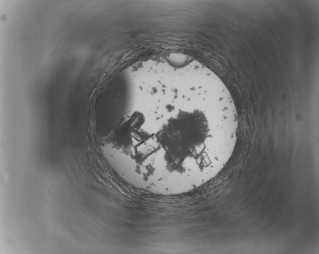 X0000053011009200507291702