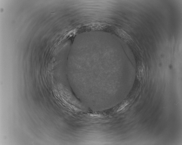 X0000053011010200507291702