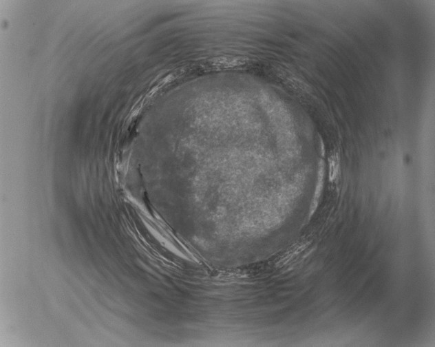 X0000053011011200507291702