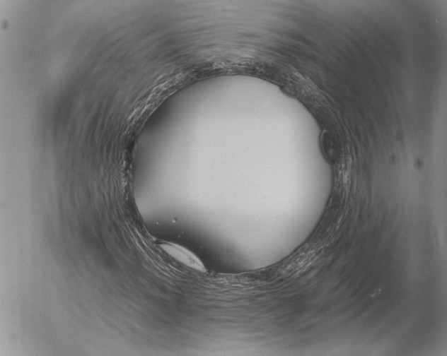 X0000053011012200507291702