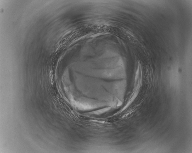 X0000053011013200507291702