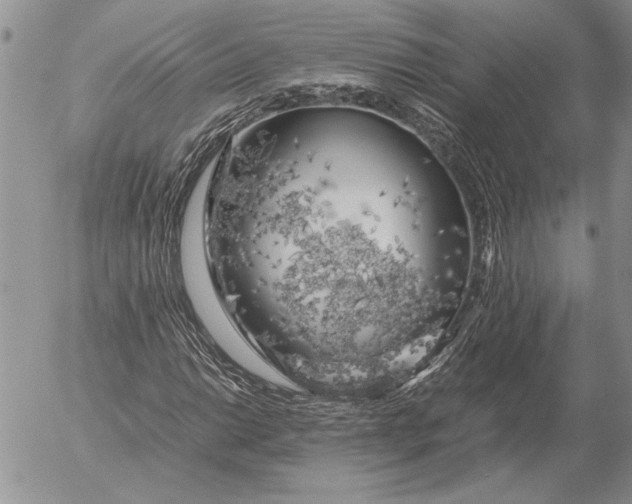 X0000053011014200507291702