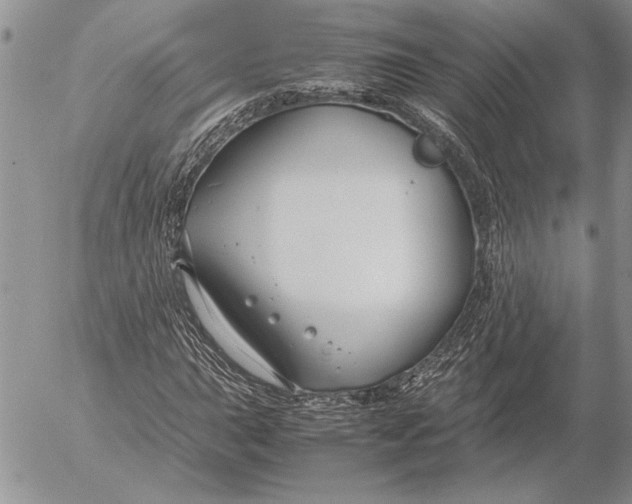 X0000053011015200507291702