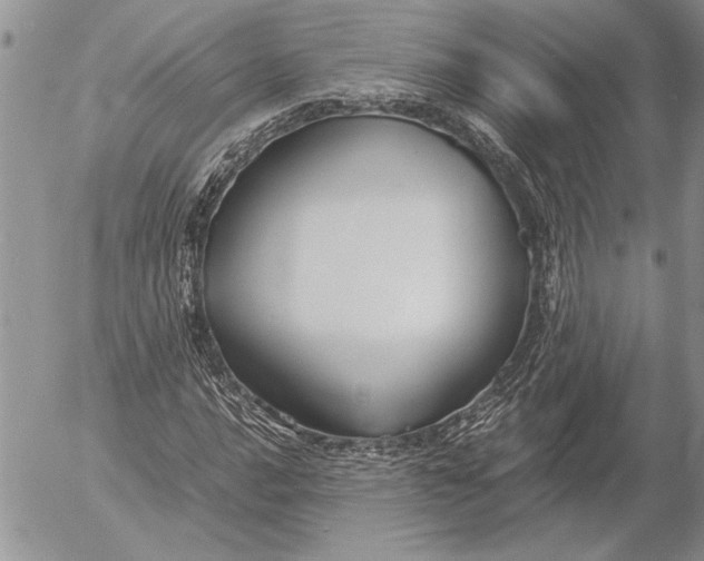 X0000053011016200507291702