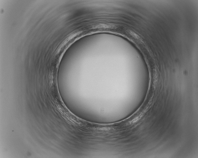 X0000053011017200507291702