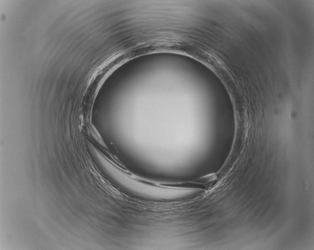 X0000053011018200507291702