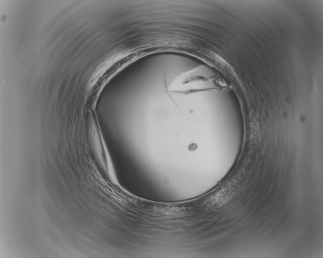 X0000053011019200507291702