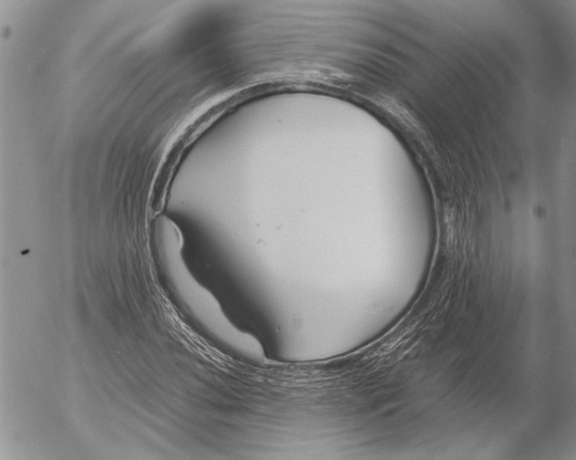 X0000053011020200507291702