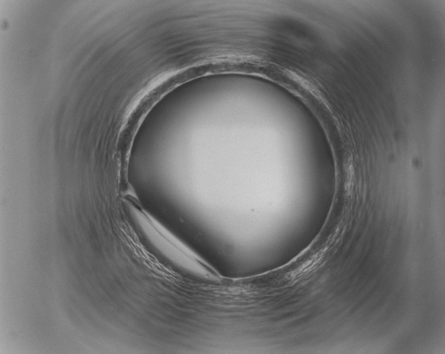 X0000053011021200507291702