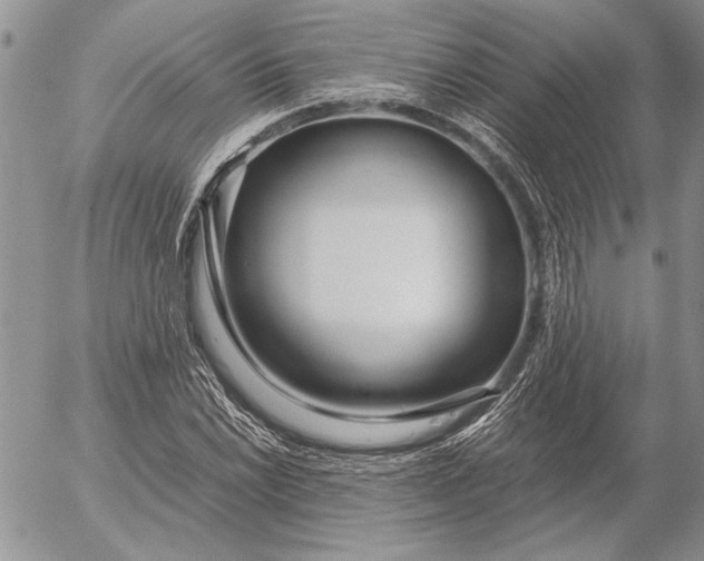 X0000053011022200507291702