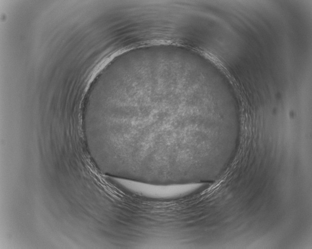 X0000053011023200507291702