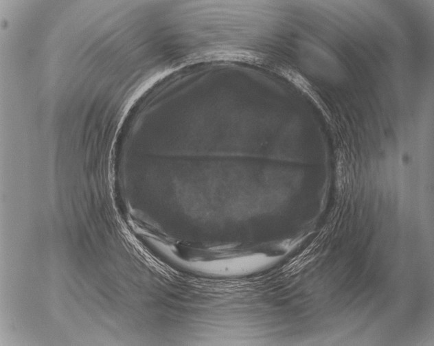 X0000053011024200507291702