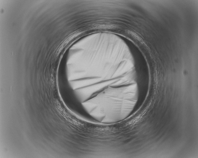 X0000053011025200507291702