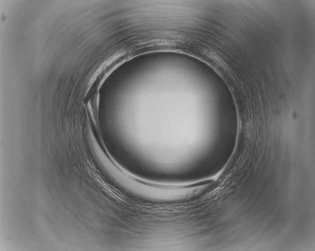 X0000053011026200507291702