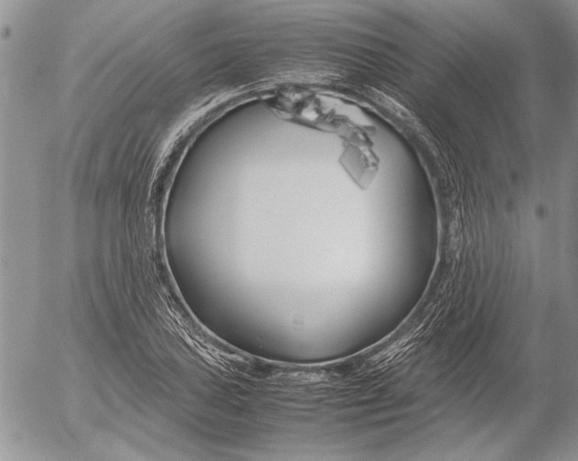 X0000053011027200507291702