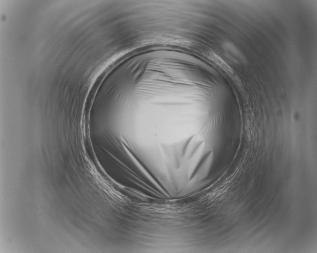 X0000053011028200507291702