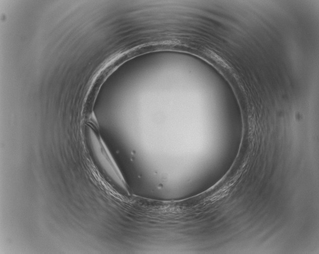 X0000053011029200507291702