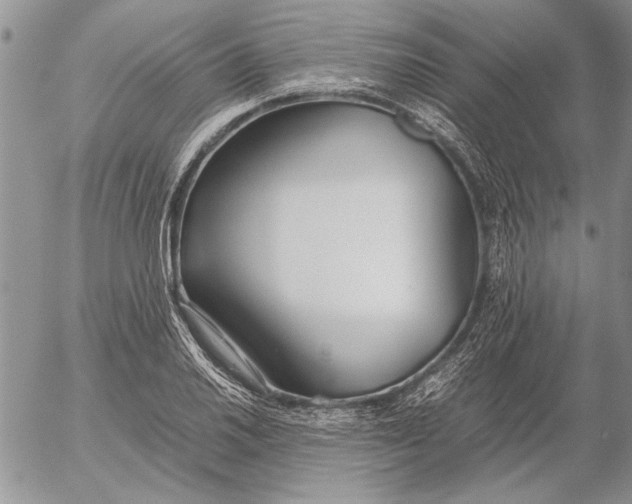 X0000053011030200507291702