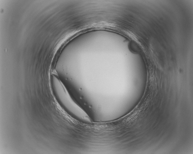 X0000053011032200507291702