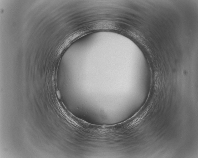 X0000053011033200507291702