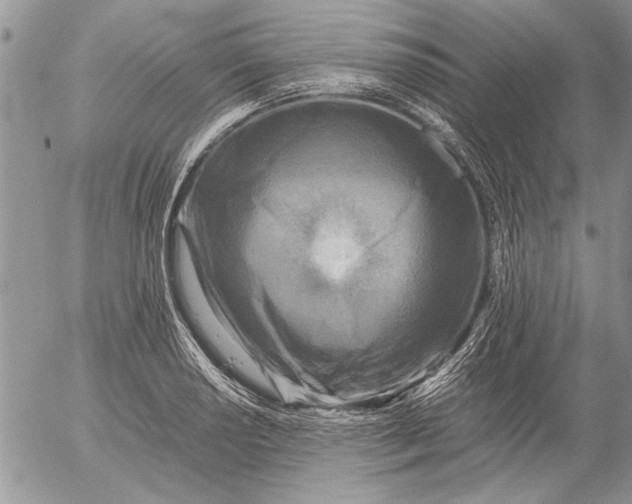 X0000053011034200507291702