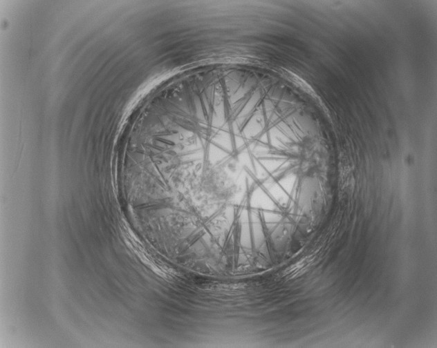 X0000053011035200507291702