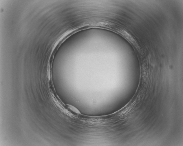 X0000053011036200507291702