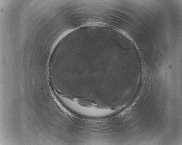 X0000053011037200507291702