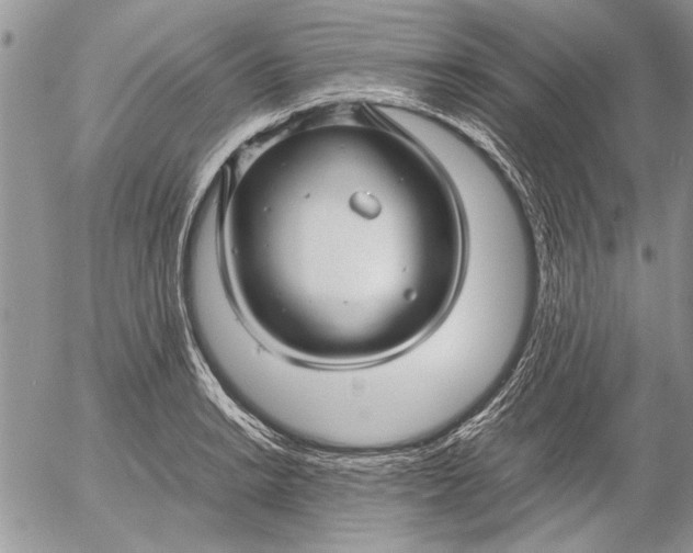 X0000053011038200507291702