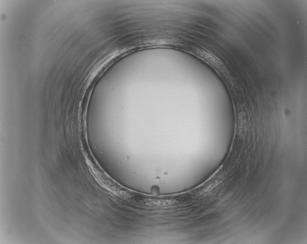 X0000053011039200507291702