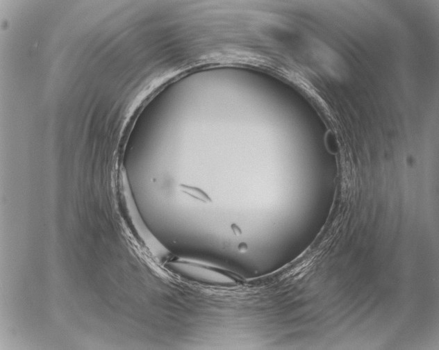 X0000053011040200507291703