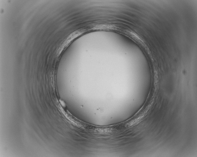 X0000053011041200507291703