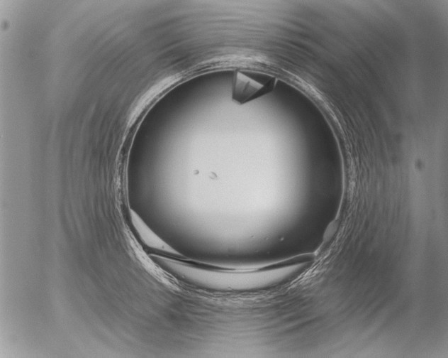 X0000053011042200507291703