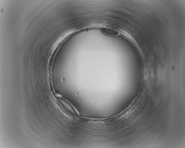 X0000053011043200507291703