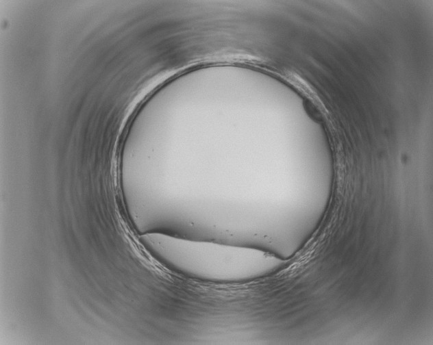 X0000053011044200507291703