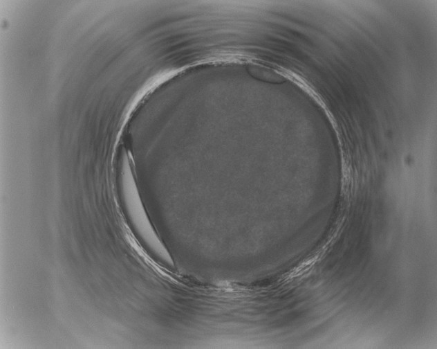 X0000053011045200507291703