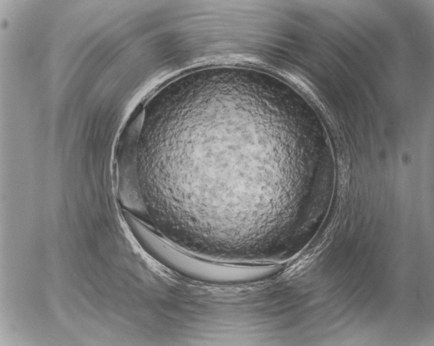 X0000053011046200507291703