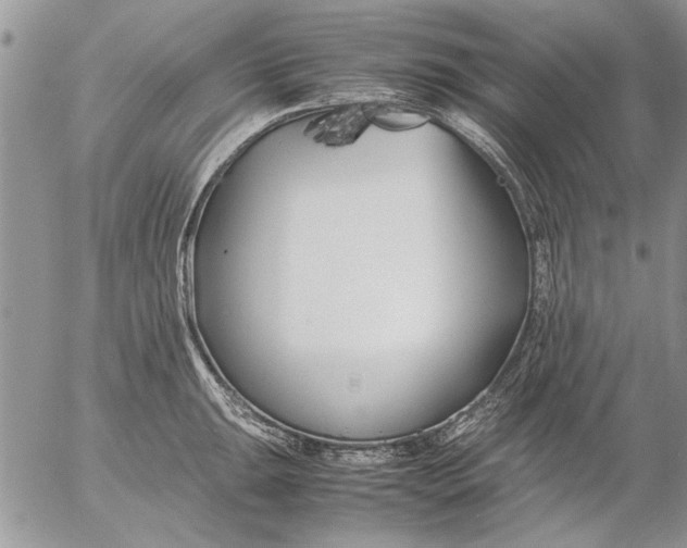 X0000053011047200507291703