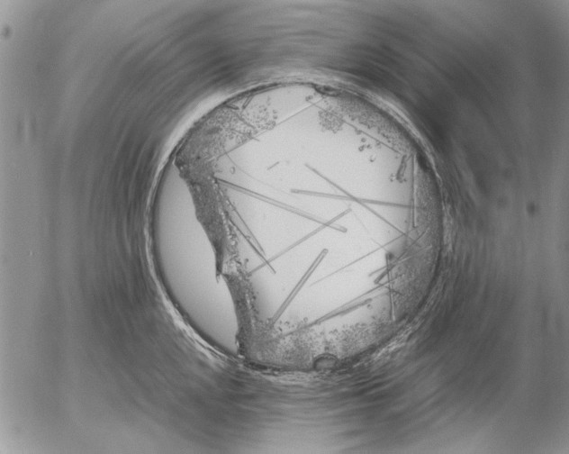 X0000053011048200507291703