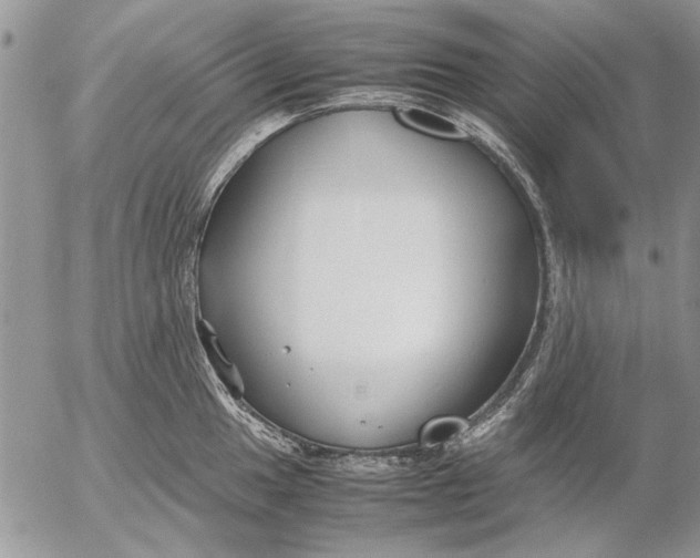 X0000053011049200507291703