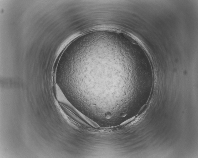 X0000053011050200507291703