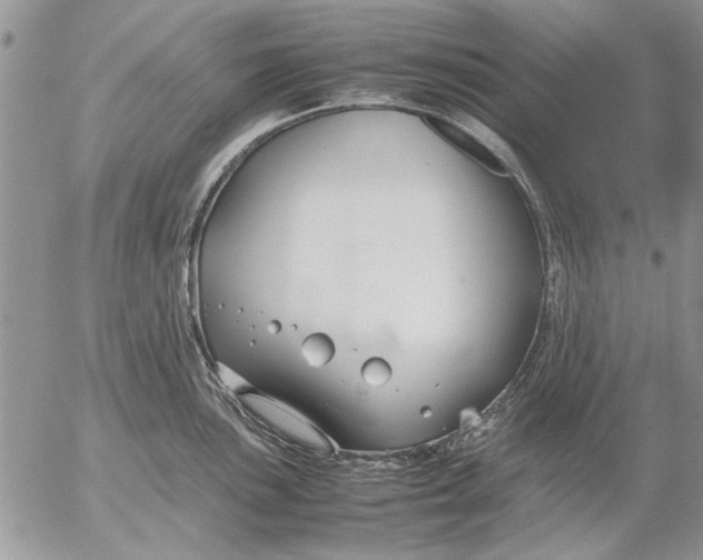 X0000053011051200507291703