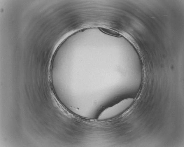 X0000053011052200507291703