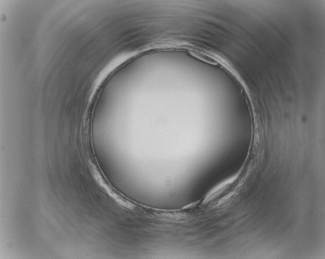 X0000053011053200507291703