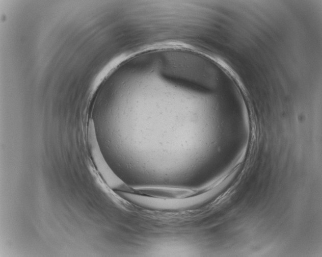 X0000053011054200507291703