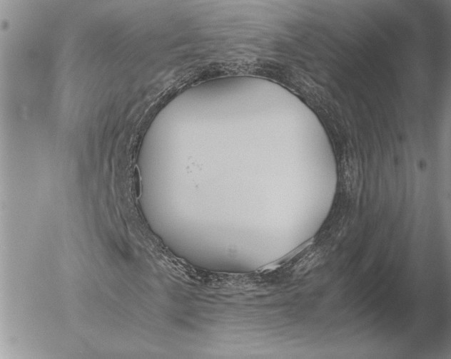 X0000053011057200507291702