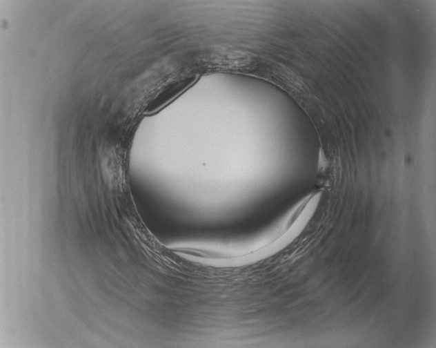 X0000053011058200507291702